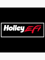 Holley efi